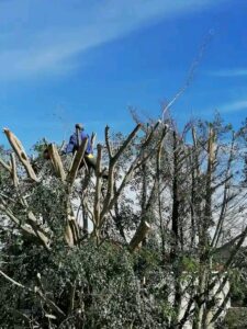 site clearing cape town
