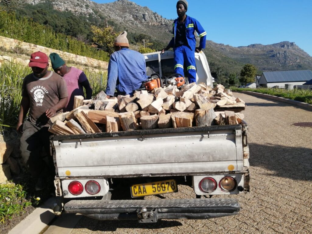 tree felling cape town
