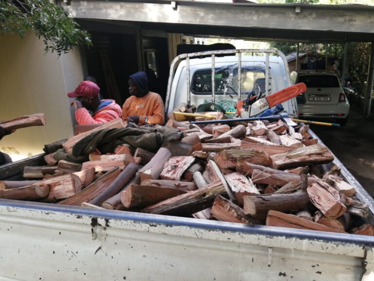 stump removal cape town