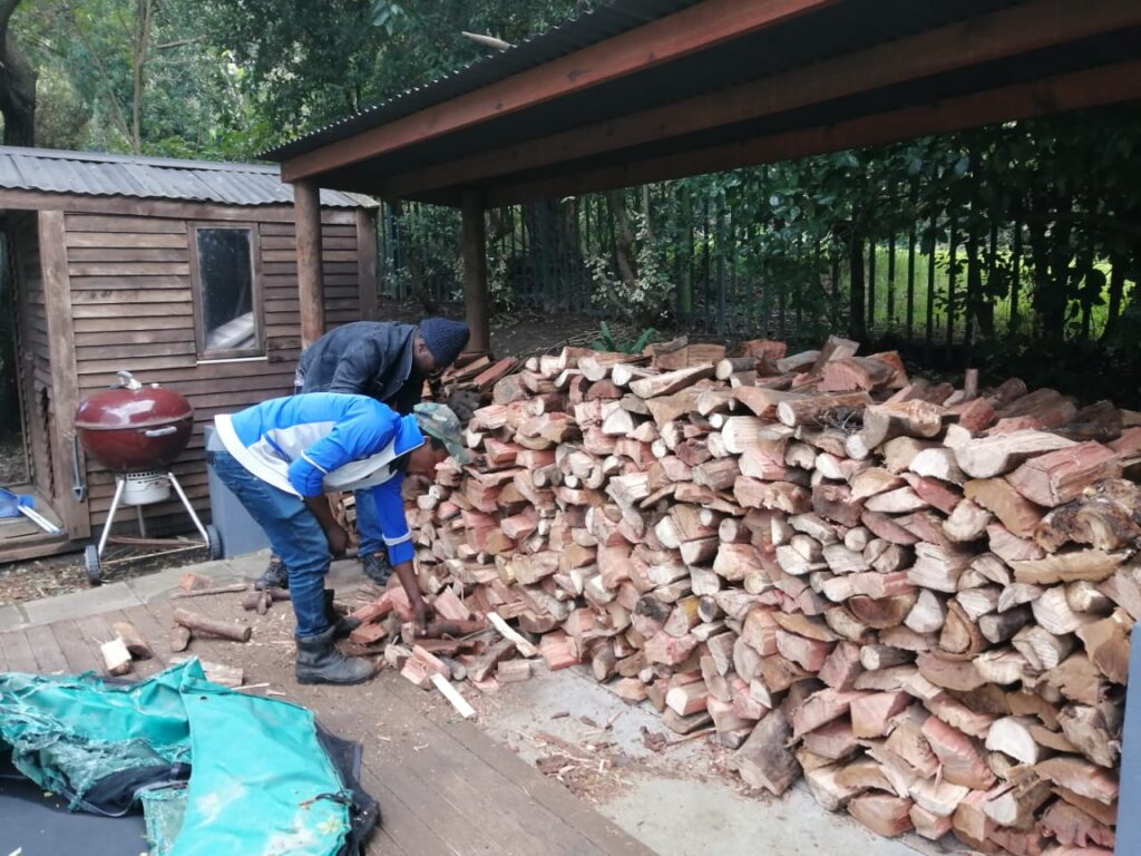 tree felling cape town